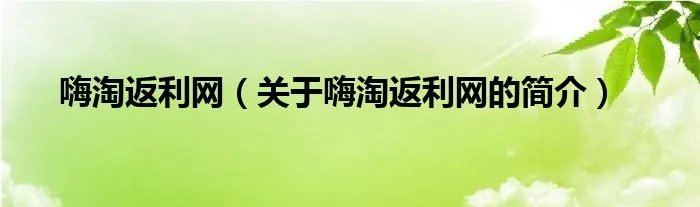 嗨淘返利网（关于嗨淘返利网的简介）