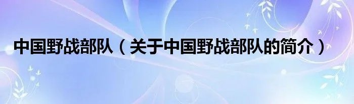 中国野战部队（关于中国野战部队的简介）