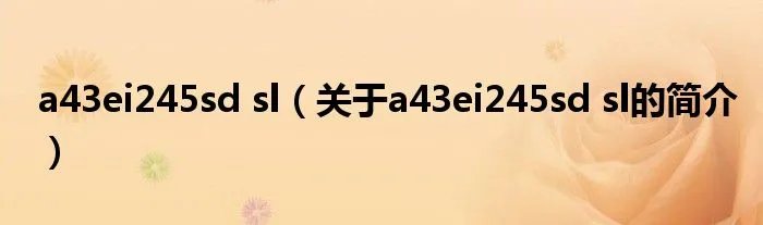 a43ei245sd sl（关于a43ei245sd sl的简介）