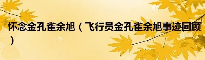 怀念金孔雀余旭（飞行员金孔雀余旭事迹回顾）