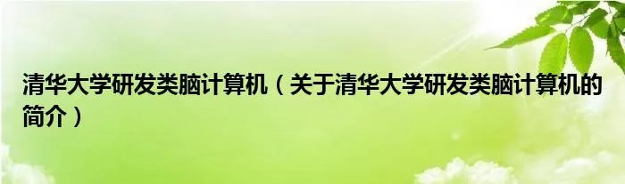 清华大学研发类脑计算机（关于清华大学研发类脑计算机的简介）