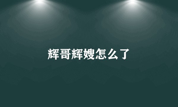 辉哥辉嫂怎么了