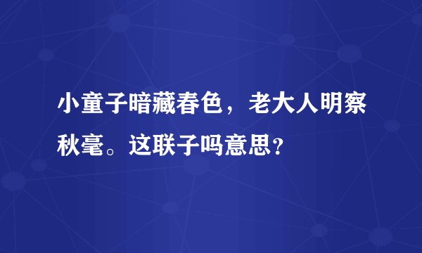 小童子暗藏春色,老大人明察秋毫。这联子吗意思?