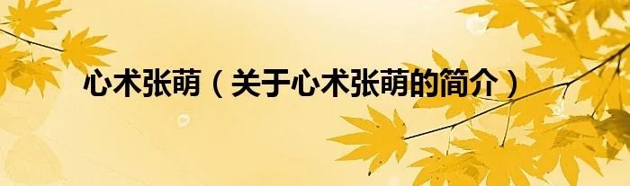 心术张萌（关于心术张萌的简介）