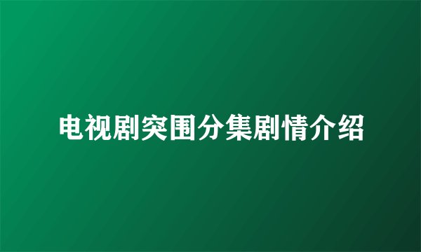 电视剧突围分集剧情介绍