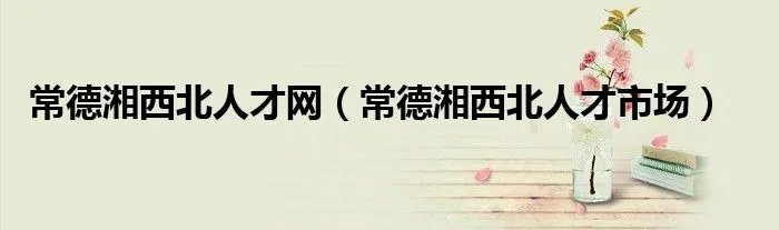 常德湘西北人才网（常德湘西北人才市场）