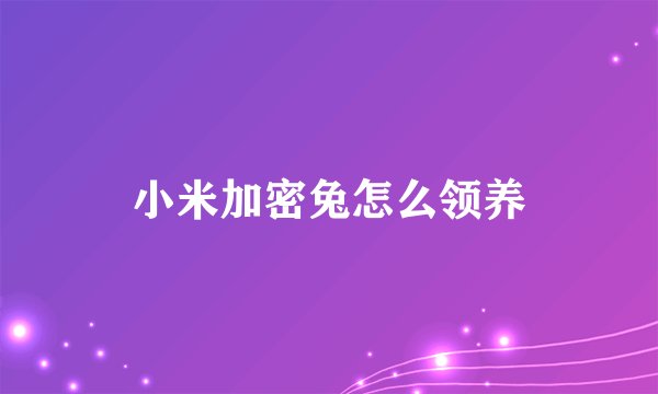 小米加密兔怎么领养