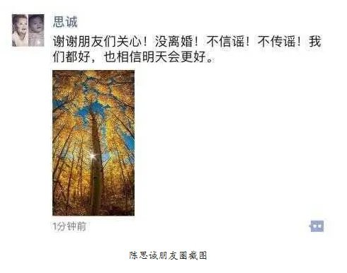 陈思诚否认离婚是真的吗?