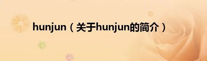 hunjun(关于hunjun的简介)