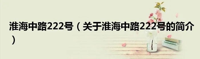 淮海中路222号（关于淮海中路222号的简介）