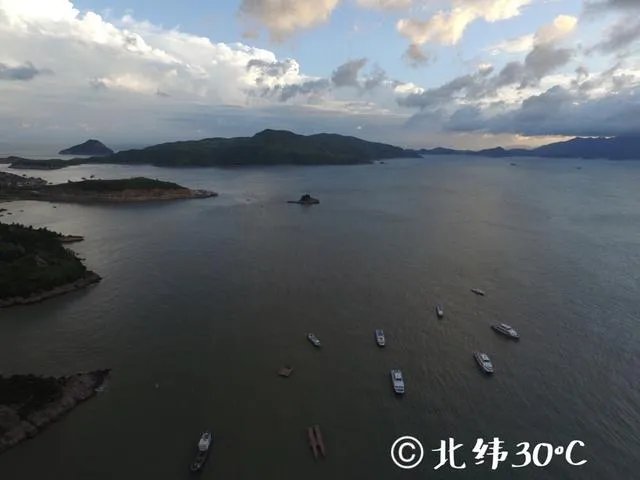 训练老鹰抓无人机有前途吗?
