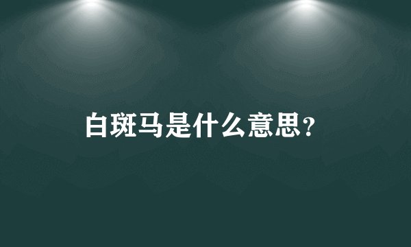 白斑马是什么意思?