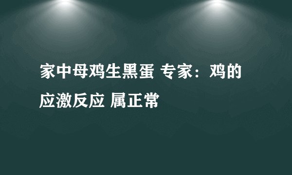 家中母鸡生黑蛋 专家：鸡的应激反应 属正常