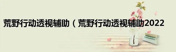 荒野行动透视辅助（荒野行动透视辅助2022
