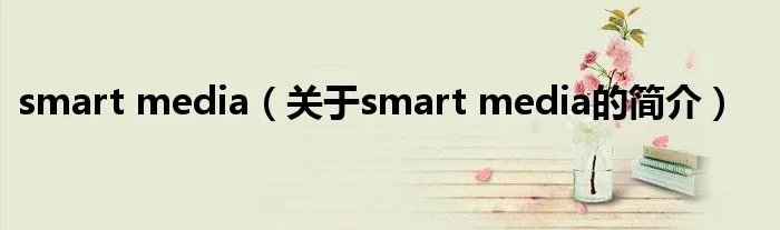 smart media（关于smart media的简介）