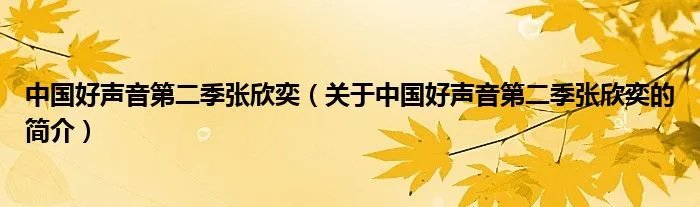 中国好声音第二季张欣奕（关于中国好声音第二季张欣奕的简介）