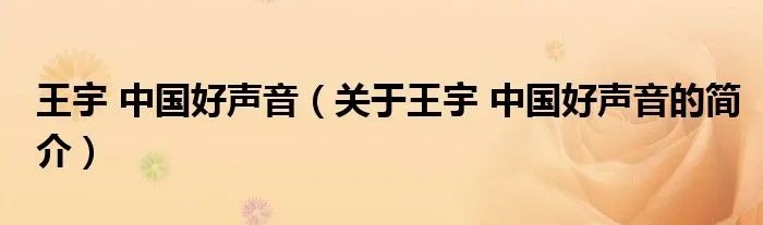 王宇 中国好声音（关于王宇 中国好声音的简介）