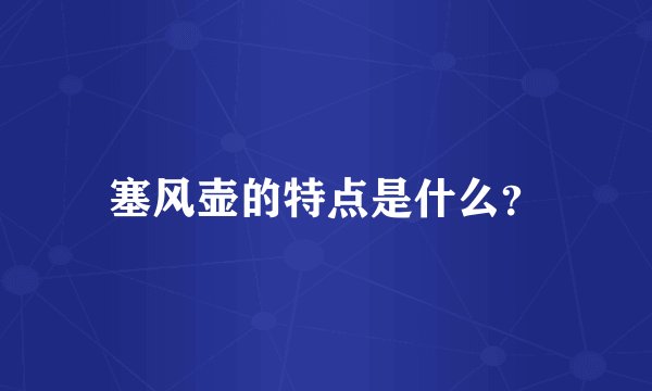塞风壶的特点是什么？