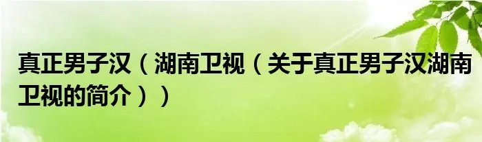 真正男子汉（湖南卫视（关于真正男子汉湖南卫视的简介））