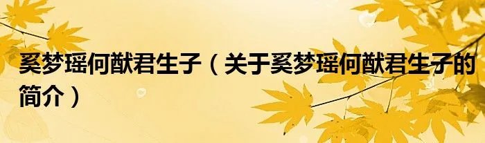 奚梦瑶何猷君生子（关于奚梦瑶何猷君生子的简介）