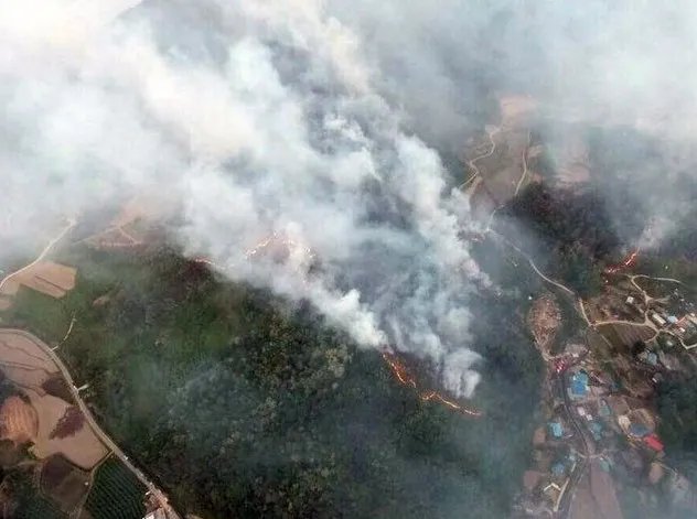 韩国萨德部署地附近山头突发大火是什么原因呢?