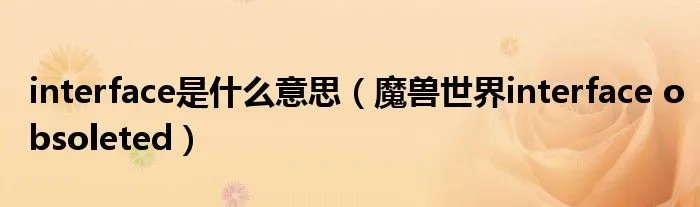 interface是什么意思（魔兽世界interface obsoleted）