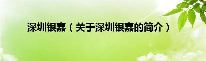 深圳银嘉（关于深圳银嘉的简介）