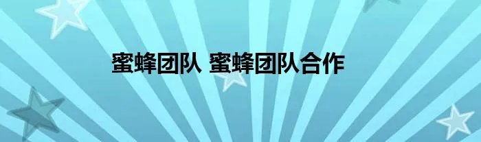 蜜蜂团队 蜜蜂团队合作