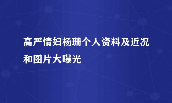 高严情妇杨珊个人资料及近况和图片大曝光