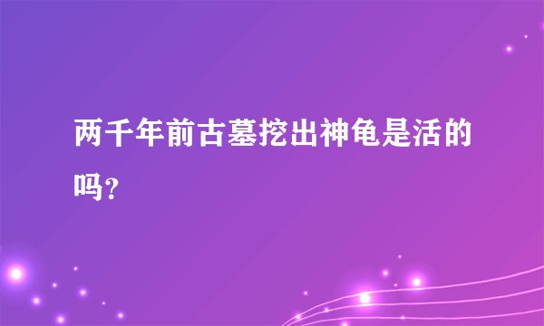 两千年前古墓挖出神龟是活的吗？