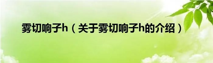 雾切响子h（关于雾切响子h的介绍）