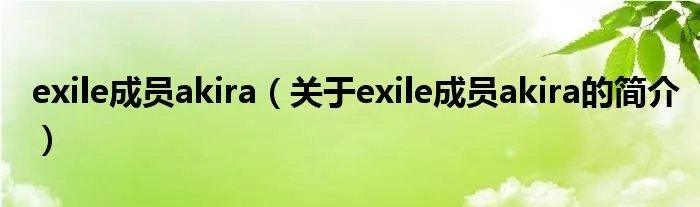exile成员akira（关于exile成员akira的简介）