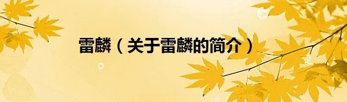 雷麟（关于雷麟的简介）