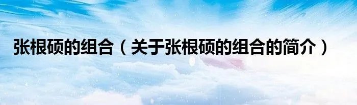 张根硕的组合（关于张根硕的组合的简介）