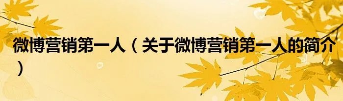 微博营销第一人（关于微博营销第一人的简介）