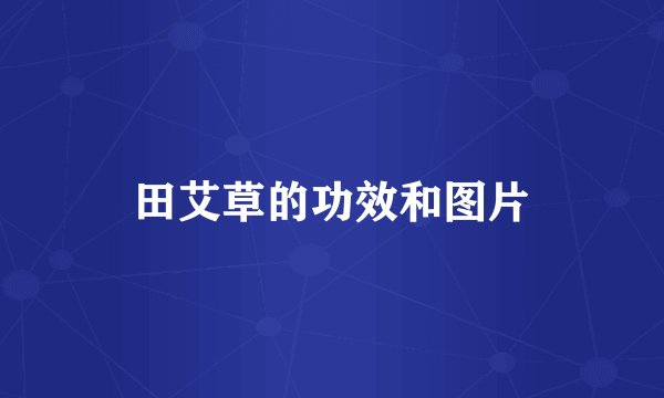 田艾草的功效和图片