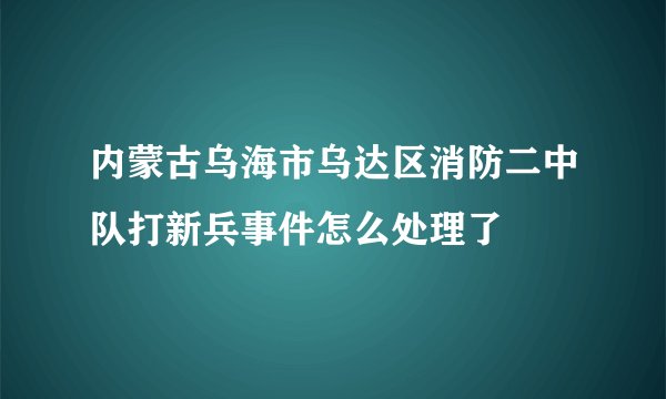 内蒙古乌海市乌达区消防二中队打新兵事件怎么处理了