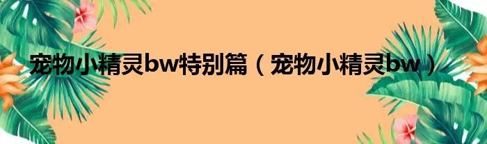 宠物小精灵bw特别篇（宠物小精灵bw）