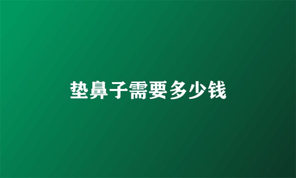 垫鼻子需要多少钱