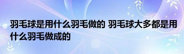 羽毛球是用什么羽毛做的 羽毛球大多都是用什么羽毛做成的