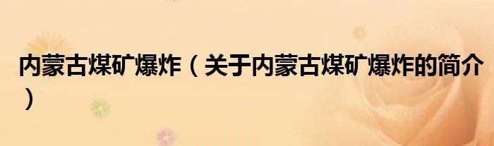内蒙古煤矿爆炸（关于内蒙古煤矿爆炸的简介）