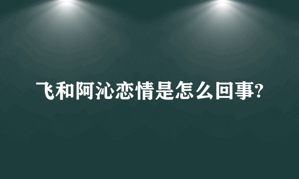 飞和阿沁恋情是怎么回事?