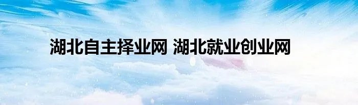 湖北自主择业网 湖北就业创业网