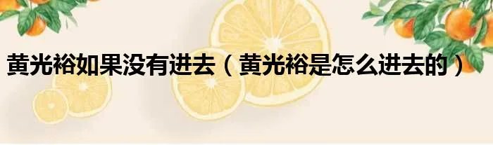 黄光裕如果没有进去（黄光裕是怎么进去的）