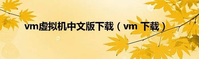 vm虚拟机中文版下载（vm 下载）