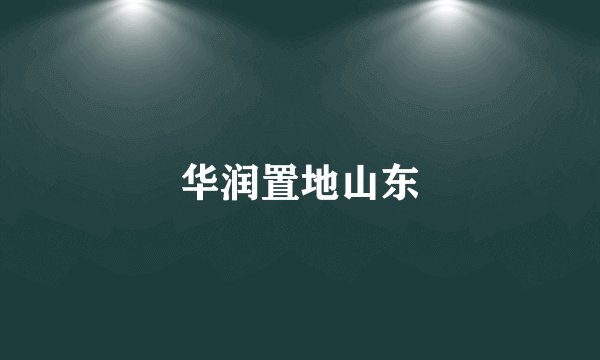 华润置地山东