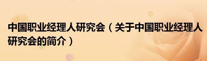 中国职业经理人研究会（关于中国职业经理人研究会的简介）
