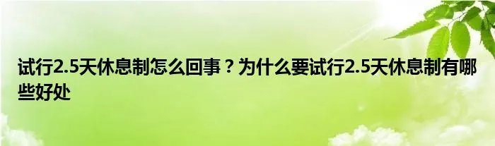 试行2.5天休息制怎么回事？为什么要试行2.5天休息制有哪些好处