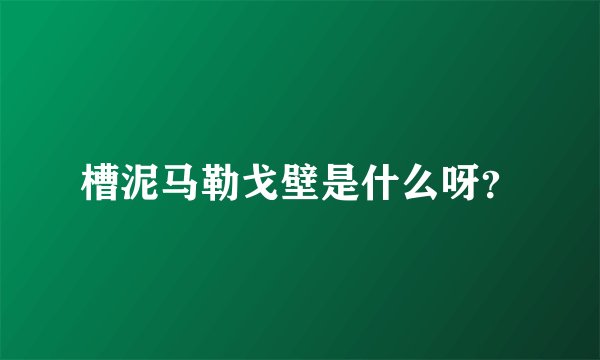 槽泥马勒戈壁是什么呀？