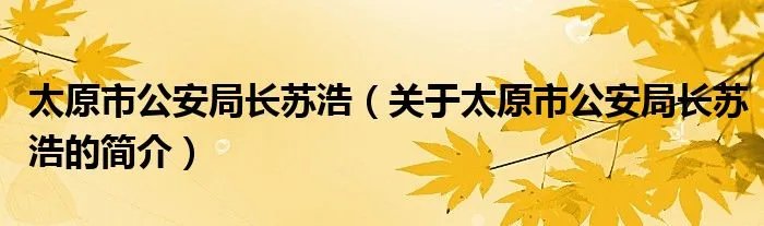 太原市公安局长苏浩（关于太原市公安局长苏浩的简介）